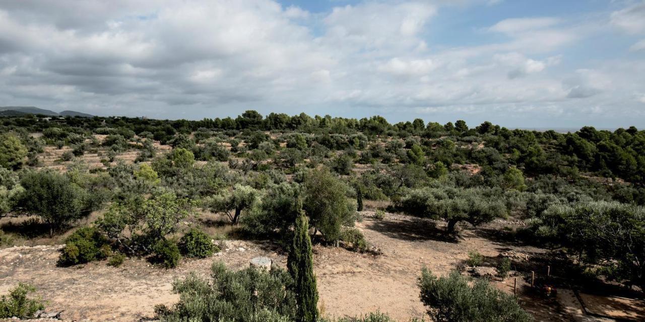 Finca Jabali ตอร์โตซา ภายนอก รูปภาพ