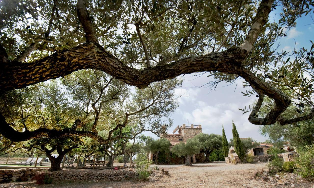 Finca Jabali ตอร์โตซา ภายนอก รูปภาพ